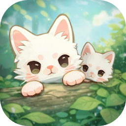 窗外的猫